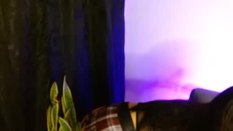 analymilles online show from November 14, 2:36 am