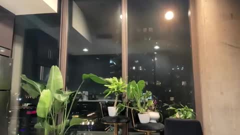 Andylynn Payne online show from March 20, 5:56 am