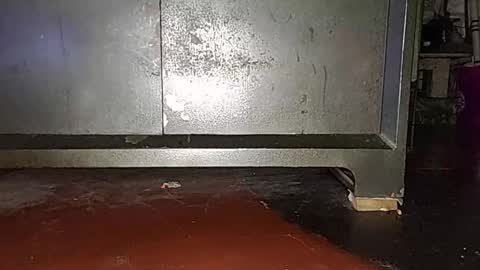 anis4551 online show from March 16, 8:24 pm