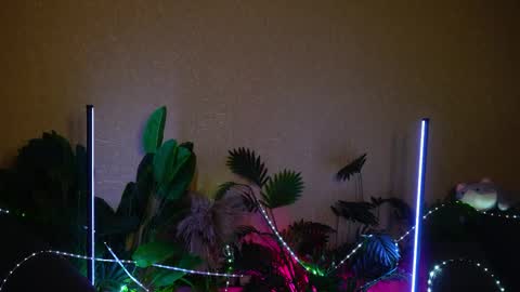 Anita online show from September 24, 4:30 am