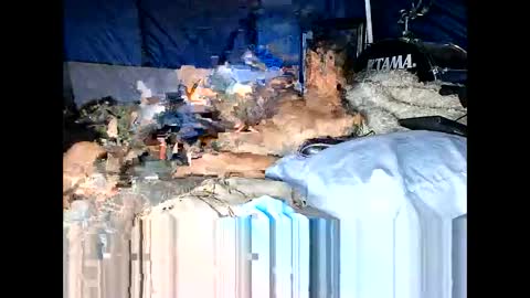 Annunaki Spawn online show from November 1, 12:59 pm