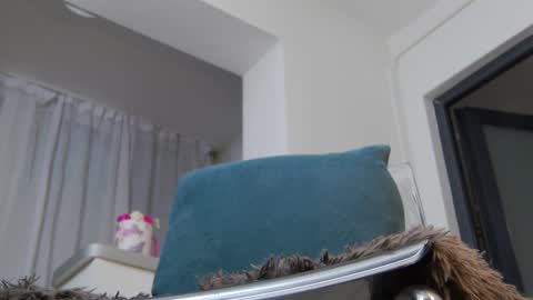 Anna online show from February 4, 5:31 am