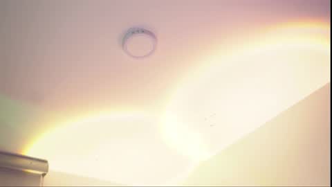 insta appolo master online show from November 23, 6:00 am