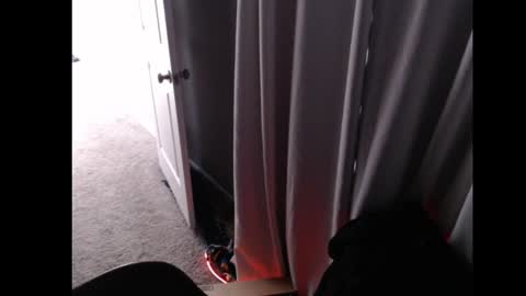 april_dsp online show from March 9, 1:26 pm