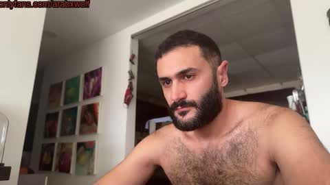 hairycub online show from November 9, 7:56 am