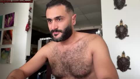 hairycub online show from October 28, 10:38 am