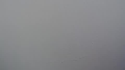 ariannaloovel online show from April 11, 6:01 pm