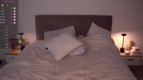 Ariel online show from February 25, 11:59 pm