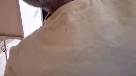 arielferdman online show from October 28, 9:05 pm