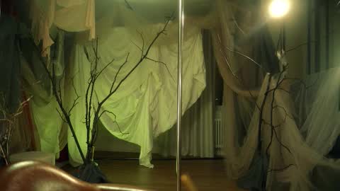 The ticket show has been postponed to Monday tomorrow. Sorry womens day online show from November 16, 12:34 am