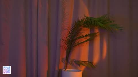 AshleyNiko online show from November 23, 4:38 pm