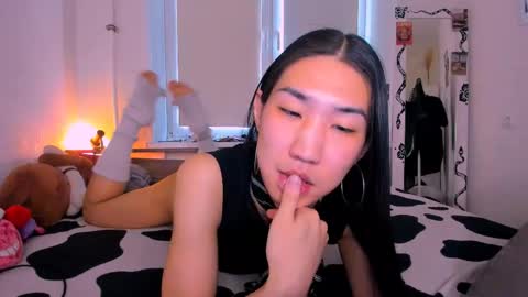 asiancvnt online show from April 26, 7:06 am