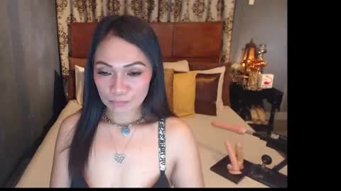 asianhotjasmin online show from June 15, 10:18 am