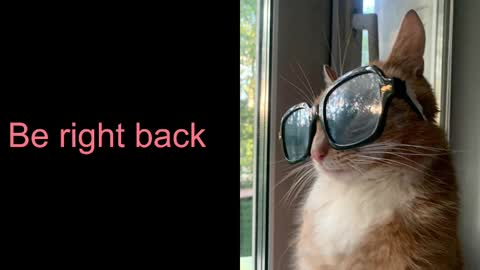 Astra  online show from February 17, 10:40 am