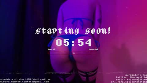 Snapshot of auragotchi chatting on October 30, 4:57 am Aurora Aura online show from October 30, 4:57 am