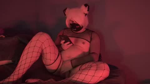 Jack online show from December 23, 8:20 am