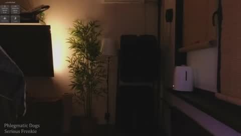 baby gopn1k online show from January 16, 5:49 am