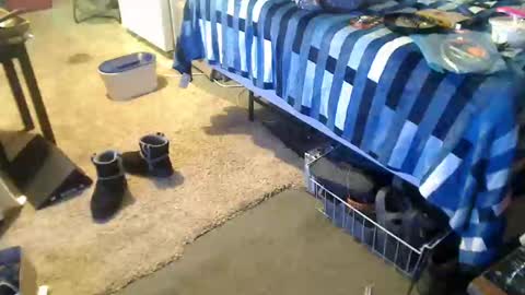 StillPoPimpin online show from December 27, 4:36 am