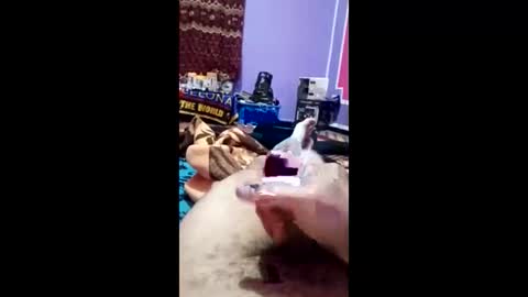 bahaa5555 online show from March 8, 6:56 pm