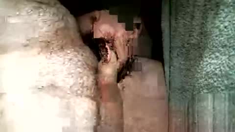 balthazar7676 online show from October 29, 8:31 pm