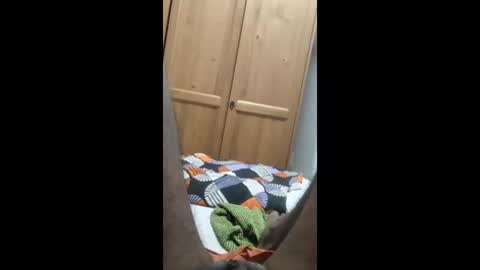 Balagopal online show from January 17, 11:13 pm