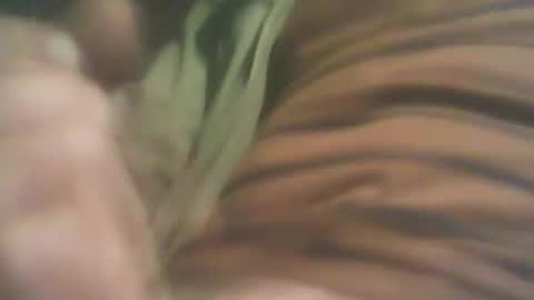 bandapart online show from September 8, 5:01 pm