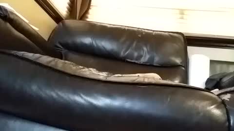 baobabtree8 online show from March 6, 2:29 pm