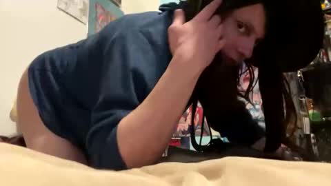 bathingcat online show from March 15, 11:30 pm