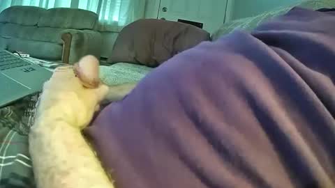 Snapshot of bcema2 chatting on October 24, 3:24 pm bcema2 online show from October 24, 3:24 pm