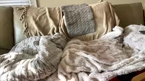 BeachyMILF online show from December 4, 7:13 pm