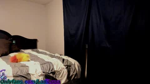 beaniebaby2 online show from January 5, 5:27 pm