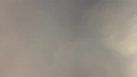 bellanatural online show from December 16, 4:46 pm