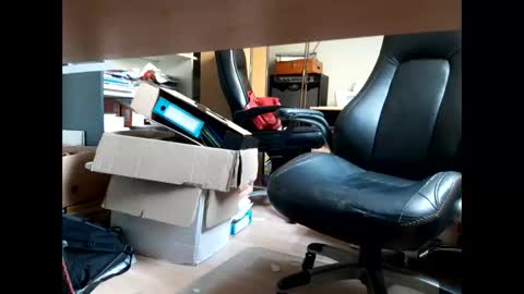 Bellebate online show from April 23, 1:13 pm