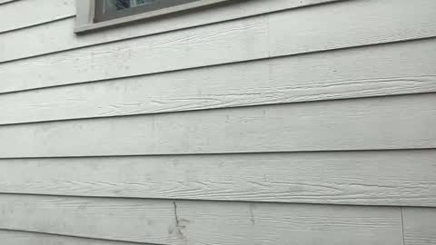 bendlikebecks online show from January 8, 4:13 pm