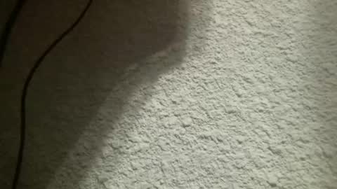 Bigfish123 online show from February 4, 5:21 am