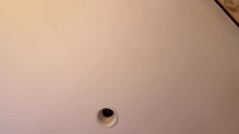 bgiamba21 online show from October 24, 4:13 am