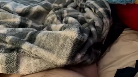 bi_guy_1993 online show from February 24, 3:20 pm