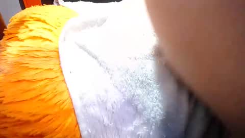 candy online show from November 17, 2:19 pm