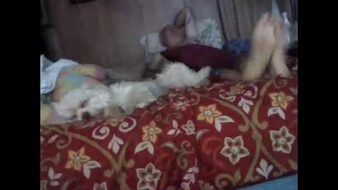 Snapshot of bigbenidick1 chatting on October 20, 1:32 am BB online show from October 20, 1:32 am