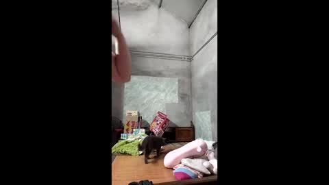 bigbig_boobs00 online show from February 22, 7:45 am