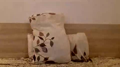 akash online show from September 19, 12:31 pm