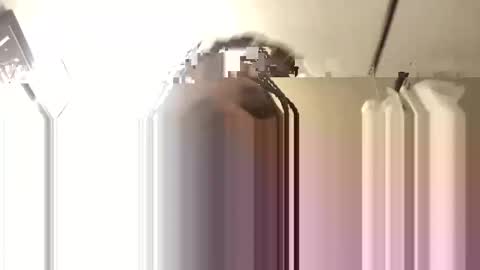 Big Daddy 1988 S online show from November 3, 6:14 am