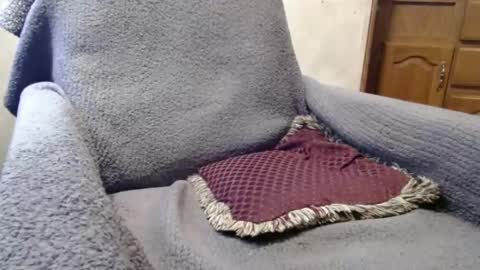 bigdickdaddy567130413 online show from December 29, 2:42 pm