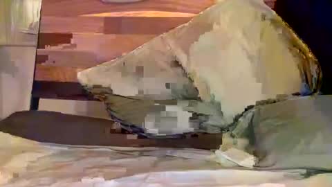 bigdickfunguy03 online show from March 22, 2:26 am