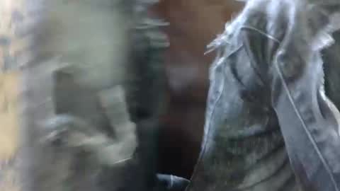 Ask in pvt online show from January 10, 11:48 am