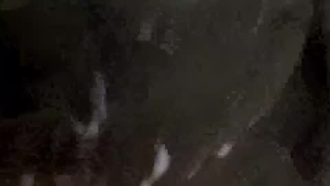 bigiheb46 online show from March 8, 2:04 am