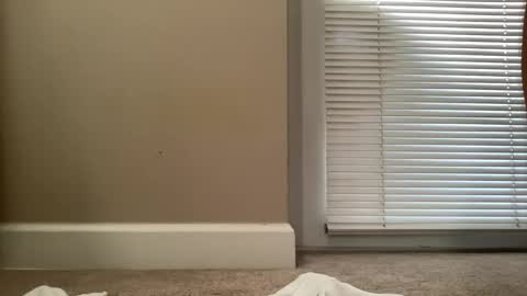 bigjohnsmith5 online show from February 11, 9:03 pm