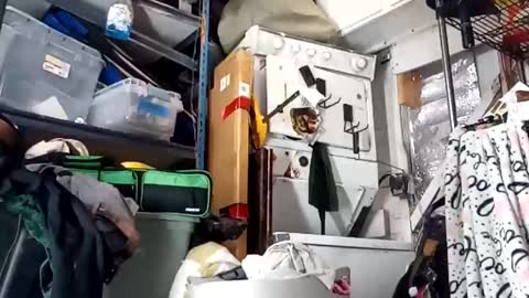 bigmanaround9 online show from October 30, 9:32 am