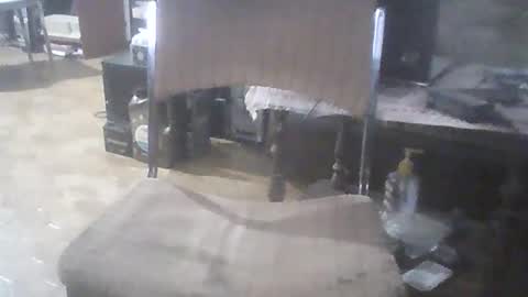 bigpenix online show from February 15, 2:25 am