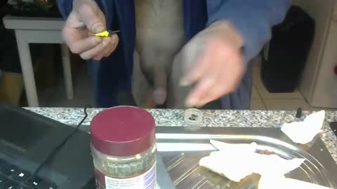 Snapshot of bigreallover chatting on January 22, 2:37 am ...... online show from January 22, 2:37 am